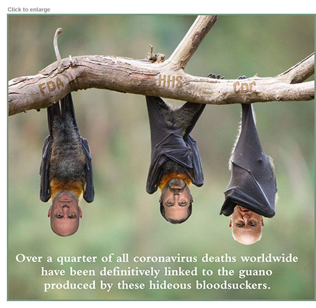 FDA's Hahn, HHS's Azar, CDC's Redfield as bats hanging upside down with the caption: "Over a quarter of all coronavirus deaths worldwide have been definitively linked to the guano produced by these hideous bloodsuckers."