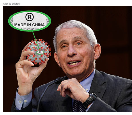 Dr. Fauci holding a coronavirus in his hand as he testifies with an inset blow-up of a Trademark label from the virus that reads Made in China.