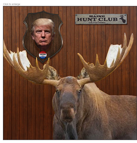 Satirical photo-illustration showing Donald Trump's head mounted on a wall as a trophy with a Trump 2024 badge attached as a live Maine moose looks out at the viewer signifying the removal of the candidate from the election ballot in that state.