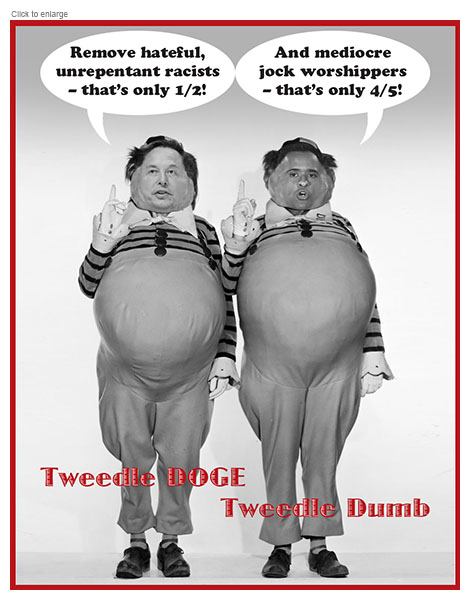 Satirical photo-illustration of Trump's choices to reduce government inefficiency Elon Musk and Vivek Ramaswamy with their heads on the bodies of Alice in Wonderland characters Tweedle Dee and Tweedle Dum. Renamed Tweedle DOGE and Tweedle Dumb they make pronouncements about Republicans that have drawn scorn including, 'Remove hateful, unrepentant racists –– that's only 1/2!' and 'And mediocre jock worshippers –– that's only 4/5!'