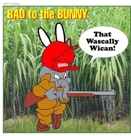 Satirical photo-illustration about the exaggerated conservative backlash to Bad Bunny's Super Bowl Half-time Show depicting a MAGA elephant as the cartoon character Elmer Fudd tip-toeing through a sugarcane field carrying a rifle like he's hunting Bugs Bunny. The white ears of the Bad Bunny logo rise behind his hat like devil’s horns as he exclaims 'That Wascally Wican!' under the title Bad to the Bunny.