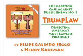 Advertisement for TrumpLaw.